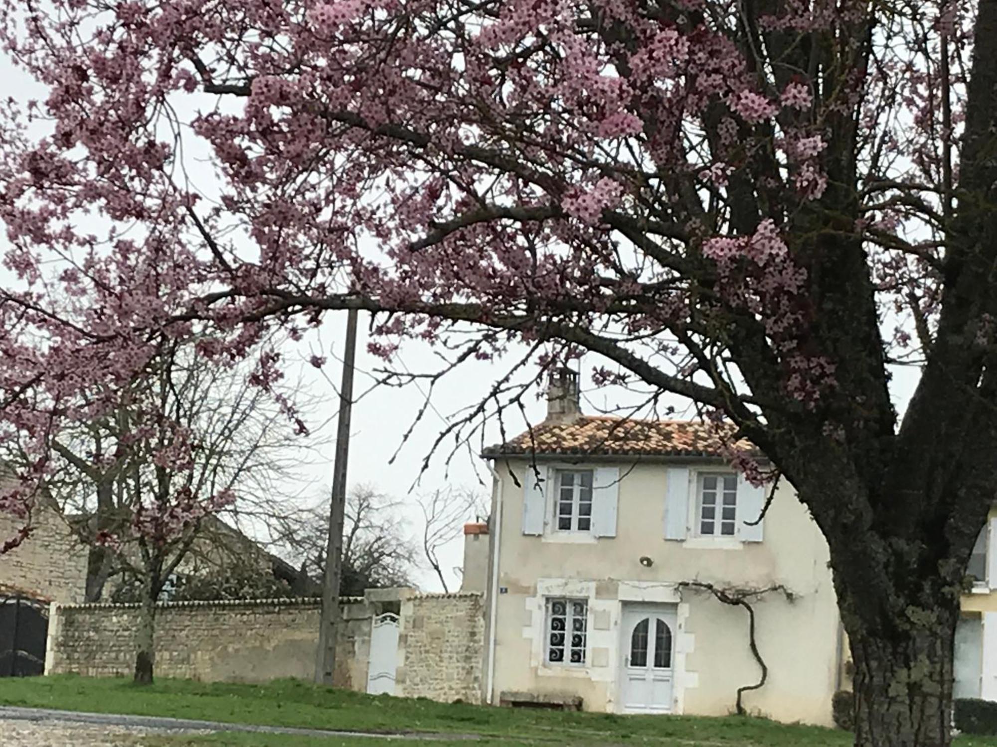 La Maison De Josephine Montignac-Charente エクステリア 写真